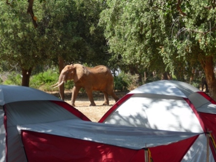 Ndololo Campground